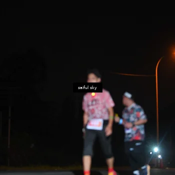 Runner Photo 4542352