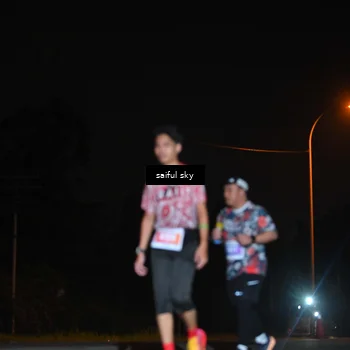 Runner Photo 4542356