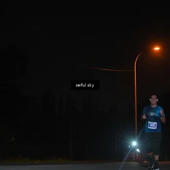 Runner Photo 4542365