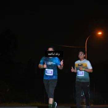 Runner Photo 4542366