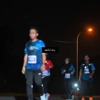 Runner Photo 4542379