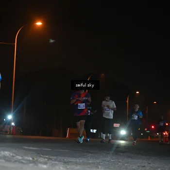 Runner Photo 4542387