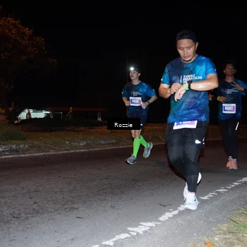 Runner Photo 4542388