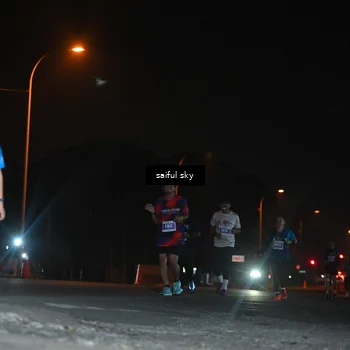 Runner Photo 4542390