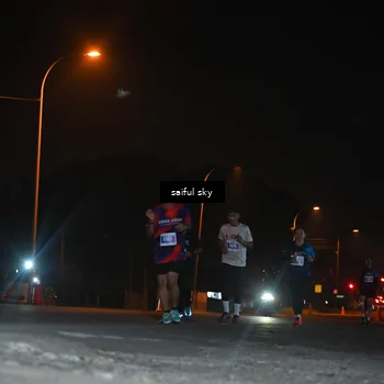 Runner Photo 4542392