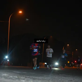 Runner Photo 4542395
