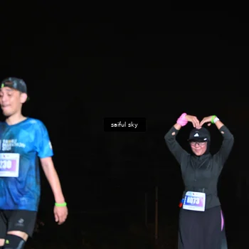 Runner Photo 4542477