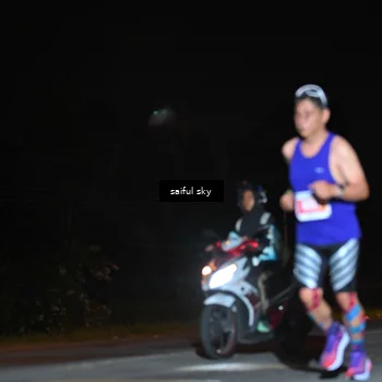Runner Photo 4542479