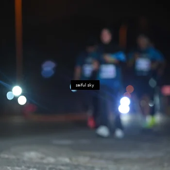 Runner Photo 4542483