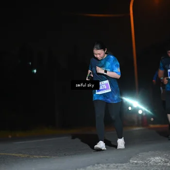 Runner Photo 4542512
