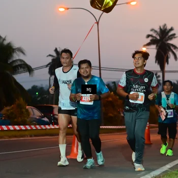 Runner Photo 4542570