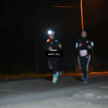 Runner Photo 4542598