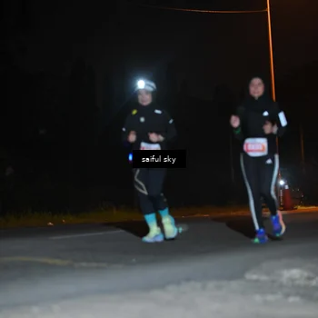 Runner Photo 4542602