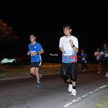 Runner Photo 4542631
