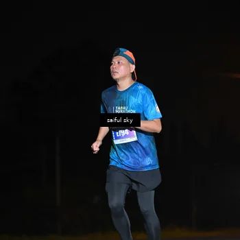 Runner Photo 4542637