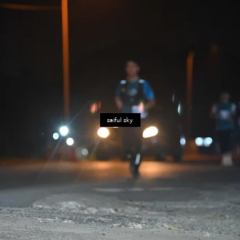 Runner Photo 4542656