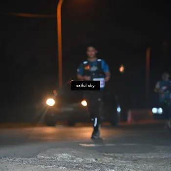 Runner Photo 4542657