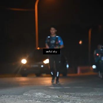 Runner Photo 4542660