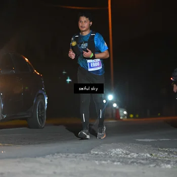 Runner Photo 4542661