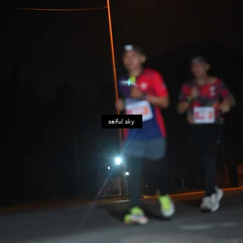 Runner Photo 4542863
