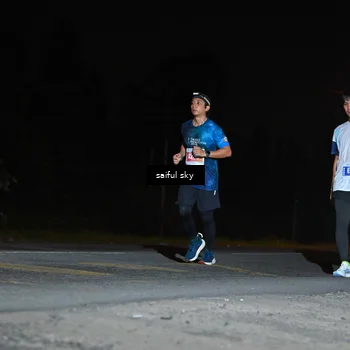 Runner Photo 4543046