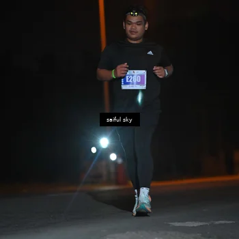 Runner Photo 4543268