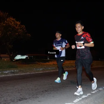 Runner Photo 4543320