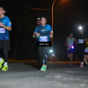 Runner Photo 4543477