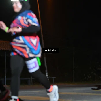 Runner Photo 4543566