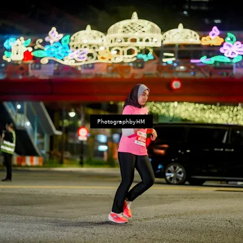 Runner Photo 4543841