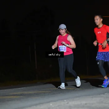 Runner Photo 4543961
