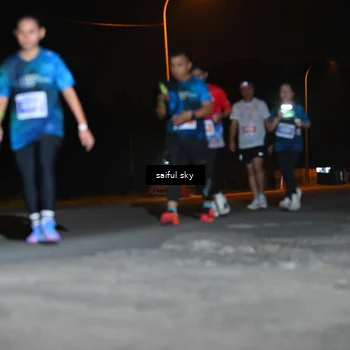 Runner Photo 4544063