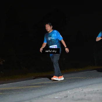 Runner Photo 4544095