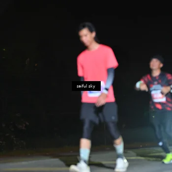 Runner Photo 4544504