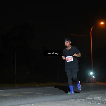 Runner Photo 4544808