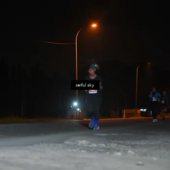 Runner Photo 4544826