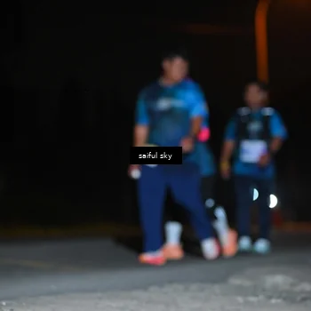 Runner Photo 4544845