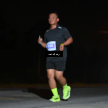 Runner Photo 4544935