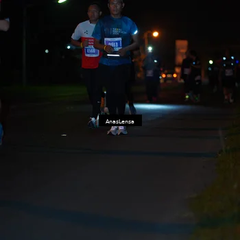 Runner Photo 4546137