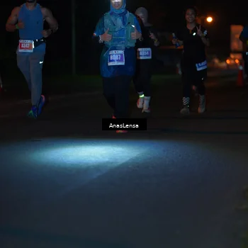 Runner Photo 4546197