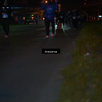 Runner Photo 4546719