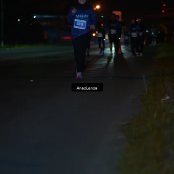 Runner Photo 4547208