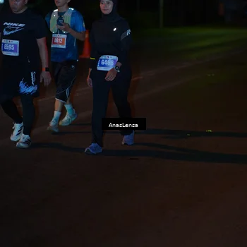 Runner Photo 4547996