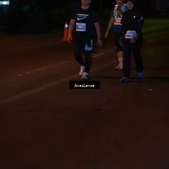 Runner Photo 4548210