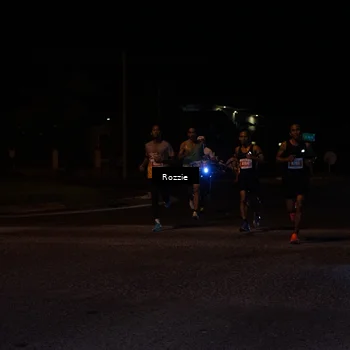 Runner Photo 4548344