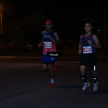 Runner Photo 4548345
