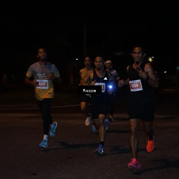 Runner Photo 4548355