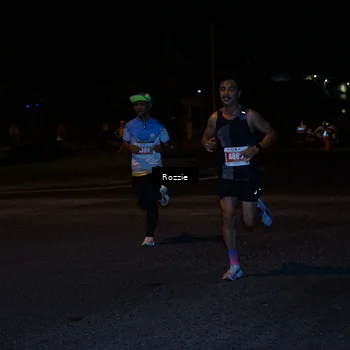 Runner Photo 4548399