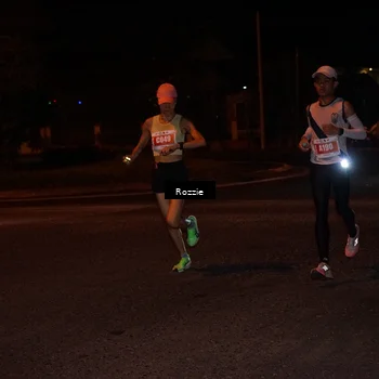 Runner Photo 4548417