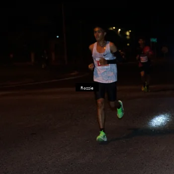Runner Photo 4548424